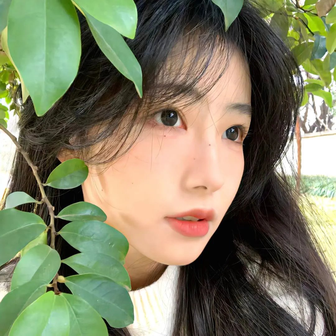 罗西与莫妮卡之骊靬情 海报